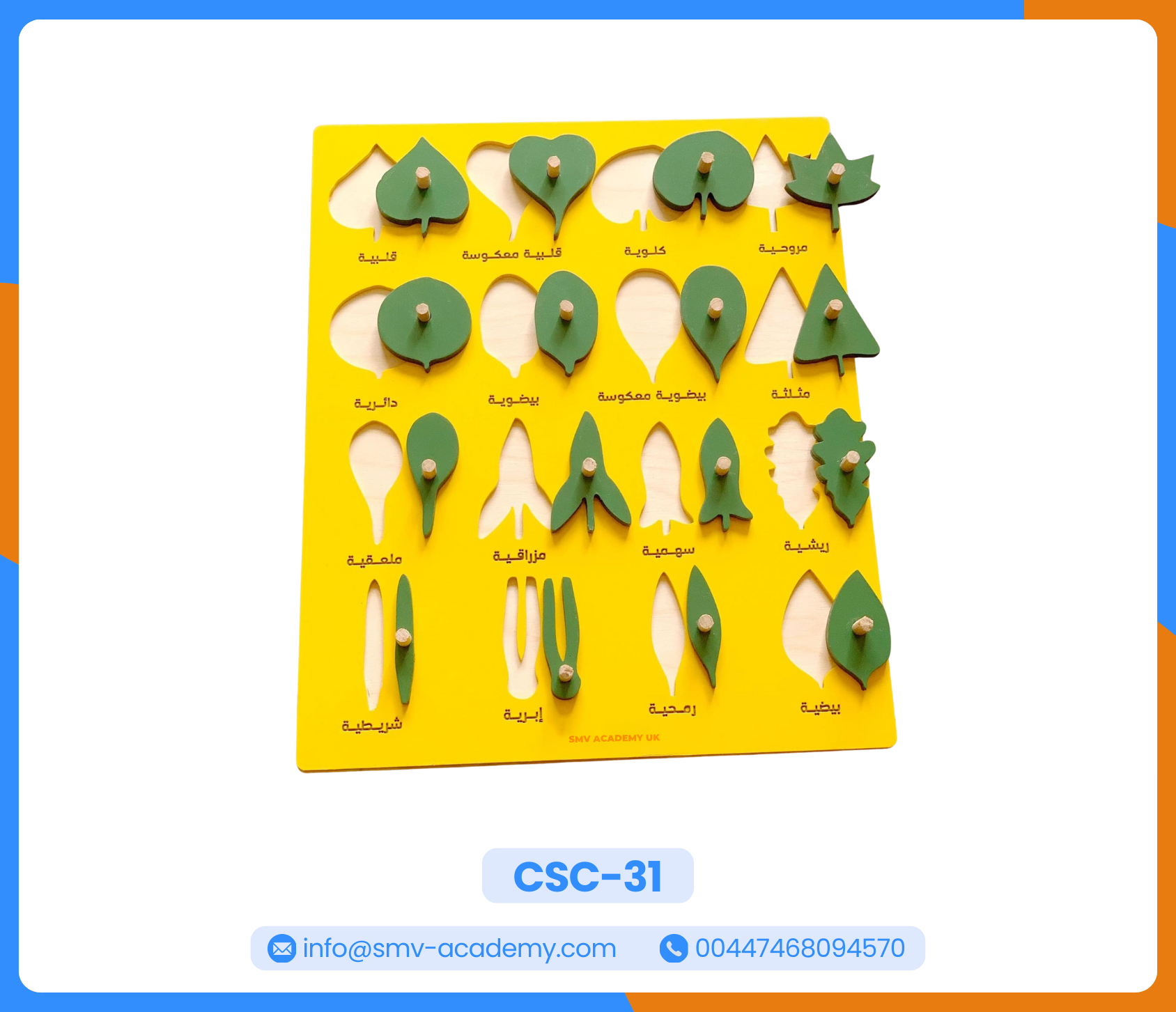 بازل أوراق النباتات – Botany leaf board